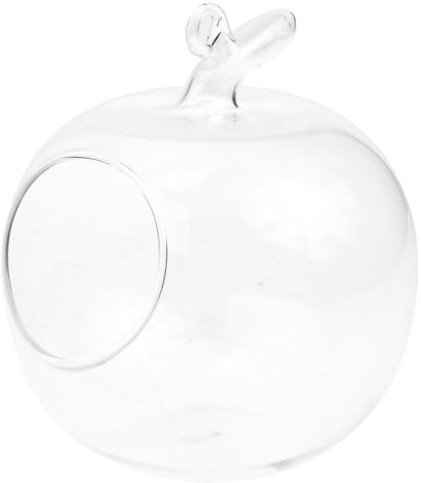 Operitacx Jarrón de cristal de manzana plantas de escritorio, botella decorativa, recipiente de micropaisaje, decoración de mesa para el hogar, cocina