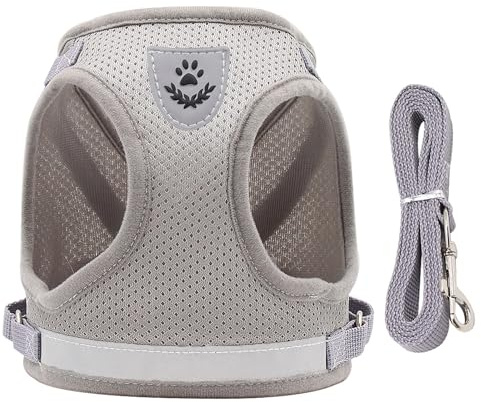 One Piece Cute Cat Harness Lead Set Useful Escape Proof Kitten Harness Comfortable Breathable Cat Leash Reflective Strip Kitten Harness for Cats Dogs Pets