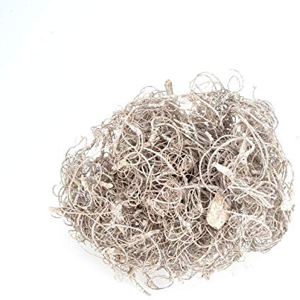 NaDeco Curly Moos in Weiß, gefrostet, Gewicht ca. 500g | Curlymoos | Tillandsia Moos | Spanisches Moos | Moos-Deko | Deko-Moos | Bastelmoos | Dekomoos | Bastel-Moos | Moos zum Basteln