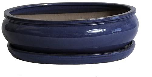 Garden Center shop by VM Tiesto DE CERÁMICA Ovalado BONSÁI VITRIFICADO Rhea 31X25X9CM Plato Incluido (Azul)