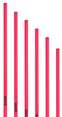 Set de 6 Picas de Entrenamiento PVC Zastor Pol-120 Fucsia