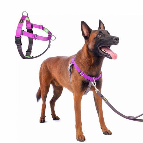 APDEXY Freedom No Pull Dog Harness, Purple, Medium/Large