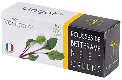 Véritable Lingot® Pousses de Betterave Bio - Compatible Potager d'Intérieur et Exky® - Recharge prête à l'emploi - Substrat avec Graines Intégrées