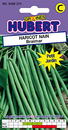 50 Graines de Haricot nain Braimar - Format Petit Jardin