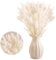 Secas Naturales Cola de Conejo Flor,Hierba Seca de Cola de Conejo 30pcs Hierba de Pampas Secas para La Sala de Estar del Hogar Decoración de Racimos de Flores