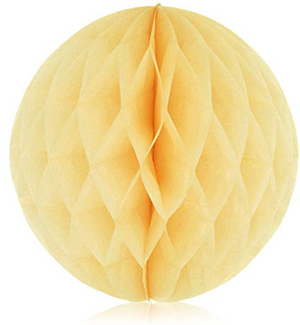 YFZYT 10 Pezzi Sfere a Nido d'Ape di Carta Pompon a Nido d'Ape di Carta Kit Palla di Carta a Nido d'Ape Decorazione di Ghirlanda per La Festa di Nozze Baby Docce di Compleanno Sala - 8 Pollici Beige