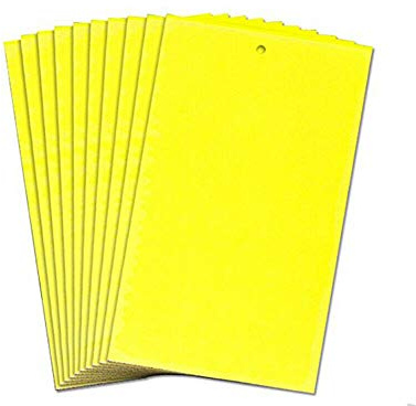 BE-TOOL Klibbiga insektsfällor, 1 pack 25 x 15 cm klibbiga flygfällor gul dubbelsidig för alla flygande växthus skadedjur (10 st ett paket)