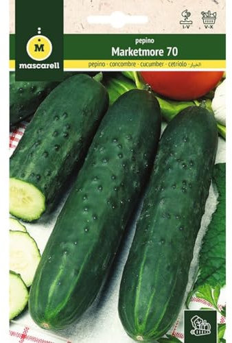 Mascarell Semillas, PEPINO, Semillas Huerto, PEPINO SUPERMARKETER (MARKETMORE 70), Crea tu Propio Huerto Urbano y Cultivo en Casa, Plantas Hortícolas, 5 Gramos