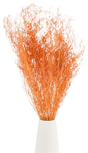 M METERXITY Mazzo Di Fiori Secchi 17 Fascio Di Fiori Di Limonium Secchi Per Decorazione Della Casa/Composizione Floreale Fascio Di Fiori Di Gypsophila Secchi Caspia [Arancione, 60g]