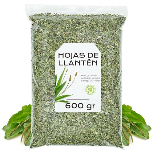 Te di Piantaggine 600 gr - Piantaggine Foglie - Piantaggine Essiccate - Piantaggine Tisane - Llanten - Piantaggine Sfuso (600 gr)
