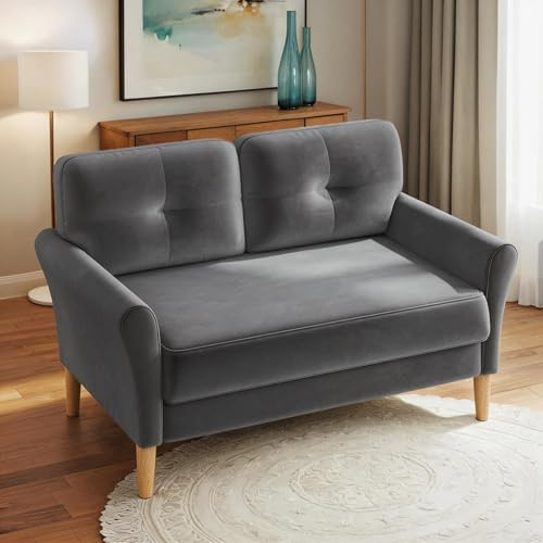 Domusensus 2 Seater Sofa, 123CM Modern Small Sofas, Comfy Couch with Spring Cushion, Velvet Two Seater Sofa With Wood Legs, Love Seat for Living Room, Small Couch for Bedroom, Grey