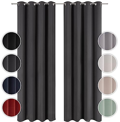 Blumtal Verdunklungsvorhänge 2er Set - Thermovorhang Hitzeschutz - Vorhang blickdicht mit Ösen - Gardinenschals mit Schlaufen - Thermogardine-Gardinen 160x132cm - Thermovorhang gegen Kälte - Anthrazit
