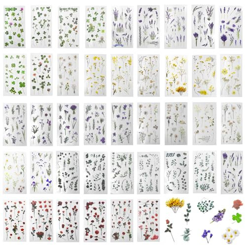 LXBCTOP 650 Stück Transparente Scrapbooking Sticker, PET Blumen Pflanzen Aufkleber, Bunte Vintage Sticker, Selbstklebend Wasserfeste Scrapbook Stickers für Fotoalbum Laptop Journaling Sammelalbum