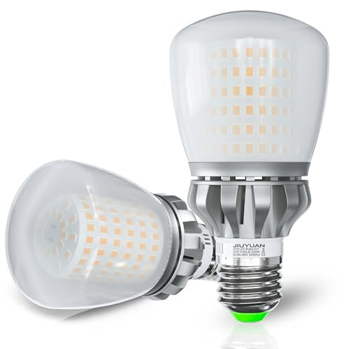 JIUYUAN Lampadina LED E27, 27W (Equivalenti a 250W) 3000K Luce Bianca Calda 3760 Lumen, Lampadine E27 LED A60, Angolo del Fascio di 360 Gradi, Non Dimmerabile, Lampada LED, Pacco da 2