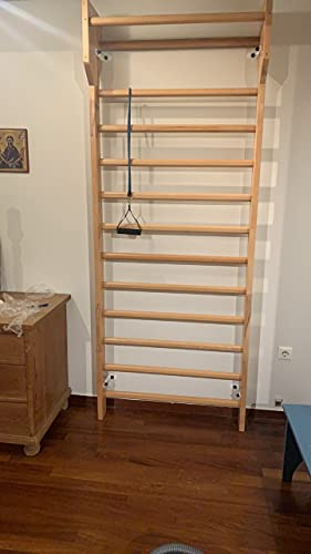ARTIMEX Swedish Ladder Suspension Trainer – Physical Therapy & Gymnastics Tool - Ideal for Back Pain Scoliosis and Arthritis Exercises - from Beechwood, 230x90 cm, code 216-F-Schroth