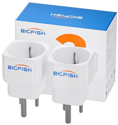 Bigfish Adaptateur Prise Inde 2 Pièces, Adaptateur de Voyage France vers Inde, Adaptateur de Voyage Type D – Europe vers Inde, Népal, Sri Lanka (partiellement) – Blanc