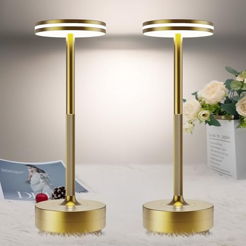 bravzurg Lampada da Tavolo LED Ricaricabile,5000mAh Eye-Protect 2 Pezzi Lampada Senza Fili,3 Modalità di Colore,Luce a USB Batteria Dimmerabile,per Interno/Ristorante/Esterno/Impermeabile（Bronzo）