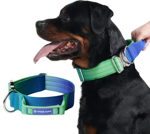 Spark Paws taktiskt hundhalsband – kraftig, premiumkvalitet, tjock och hållbar för stora och medelstora hundar – limevåg – L