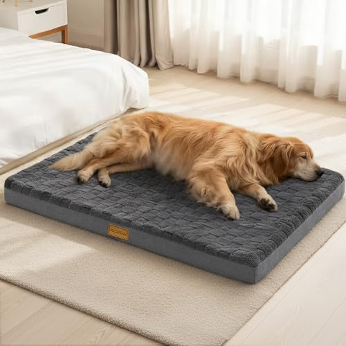 Jolibean Panier Chien Grande Taille Orthopédique, 91x61 cm