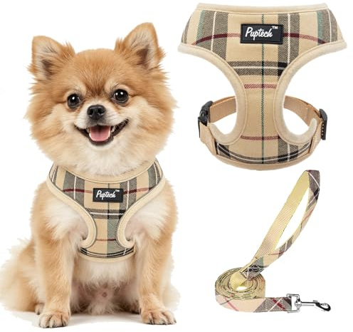 PUPTECK Soft Mesh Dog Harness Small Sized and Leash Set Pet Puppy Cat Comfort Padded Vest No Pull Harnesses, Beige, S