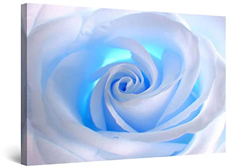 Startonight Quadro su Tela Rosa Bianca, Quadri Moderni Fiori Astratti Stampe Camere da Letto Stampe Incorniciate 60x90 cm, Decorazione Parete, Idea Regalo Elegante Luminoso al Buio