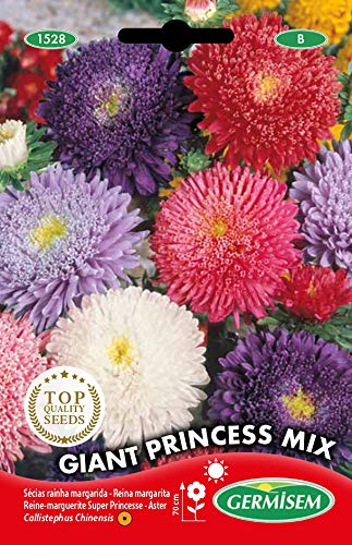 Germisem Graines Reine-marguerite Super Princesse GIANT PRINCESS MIX