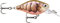 Rapala - X - Light Kurbel Mid Runner Plastikkurbel Flussköder