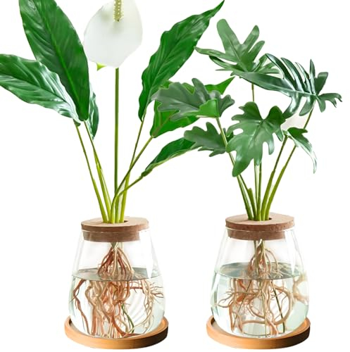 CDIYTOOL 2 stazioni di propagazione delle piante, vaso in vetro trasparente per coltura idroponica, terrario con coperchio in legno, decorazione per casa e ufficio idroponico