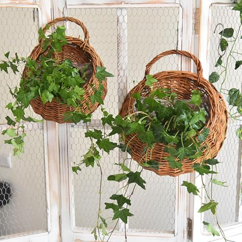Yohuork Round Hanging Flower Plant Pot Plant Basket, Hanging Planter Basket with Wicker, Rattan Wall Hanging Basket for Home Decor, Garden, Wedding (Natural, 31 x 25 cm)