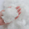 Luxus Füllung Fullwatte 5kg Polyester 100% Frischfasermaterial Oeko TEX Standard 100 zertifiziertes Kissenfüllmaterial,Bastelwatte