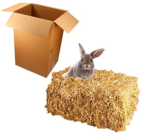 15 kg Bester Qualitäts Weizen Strohballen, trockenes frisches ungespritztes Stroh, aktuelle deutsche Ernte naturbelassen für Kaninchen Meerschweinchen Hasen Futter Deko, direkt vom Bauern