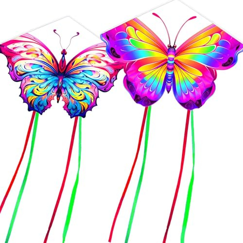 Touch the sky 2 Packs Vivid Butterfly Kite for Kids and Adults, Easy to Fly, Exquisite Fabrics and Unique Structure Design, Excellent Outdoor Games and Activity Toys, Suitable for Beginners.(Style 2)