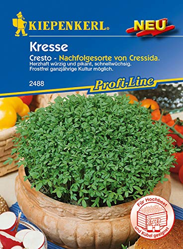 Kiepenkerl 2488 Kresse Cresto (Kressesamen)