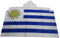 AZ FLAG - Umhangflagge Uruguay - 150x90 cm - Uruguayische Cape Fahne 100% Polyester mit integrierten Ärmeln und Kapuze - Body Flag 80g