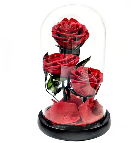 Konservierte Rosen echt rote Rosen in Glas 3 Köpfe infinity Rose 3 Jahren lang haltbare Blumen Geschenk für Frau Mama Oma Freundin in Valentinstag Jahrestag Muttertag Geburtstag ca. 21 cm hoch