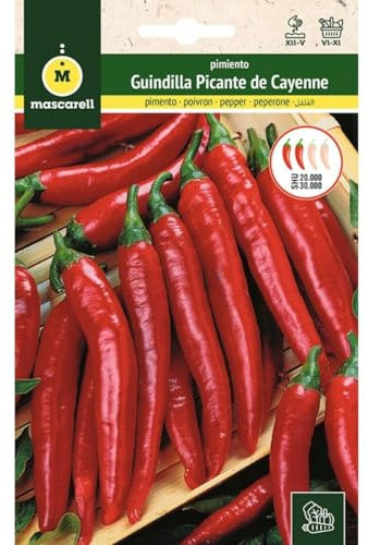 Mascarell Semillas, PIMIENTO, Semillas Huerto, PIMIENTO GUINDILLA PICANTE DE CAYENNE, Crea tu Propio Huerto Urbano y Cultivo en Casa, Plantas Hortícolas, 1 Gramos