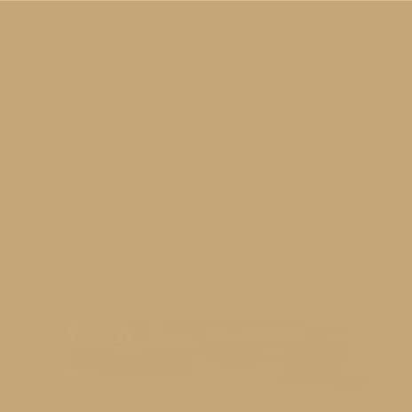 UPOL RAPTOR Pick Up Revêtement pour surfaces de transport de véhicule 948 ml + 100 ml de vernis acrylique à colorer (RAL 1001 beige)