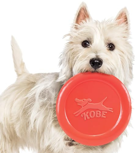 Kikkerland Frisbees för hundar Disco Kobe