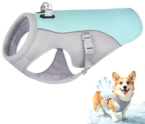 Chaleco refrescante para perro, chaqueta enfriadora mejorada con malla transpirable para verano, chaleco ligero y fresco para mascotas con tira reflectante para actividades al aire libre para perros