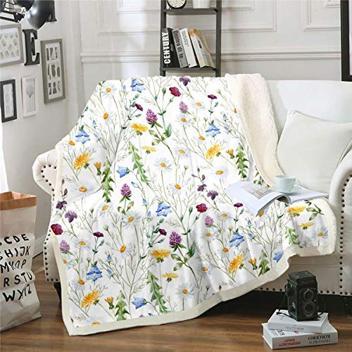 Loussiesd Watercolor Chamomile Plush Blanket for Sofa Bed Clover Fleece Throw Blanketative Botanical Floral Sherpa Blanket Blossom Wild Flowers Fuzzy Blanket Colorful Single 50x60 Inch
