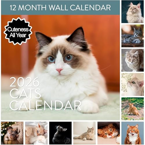 2026 Cat Wall Calendar | Large 12 x 24 Cute Calendar with Different Cats Every Month, Fun Calendar for the Cat & Kitten Lover, Great Hanging Wall Calendar for Women & Men