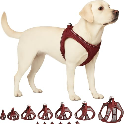 Hundegeschirr - hundegeschirr große Hunde - XL - Flamingo Harness Step&Go Bento Aubergine