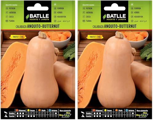 Semillas Batlle Calabaza Anquito-Butternut (Paquete de 2)