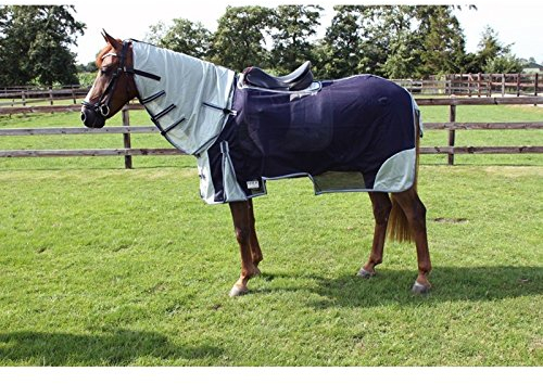 QHP Fliegen-Ausreitdecke mit abnehmb. Halsteil Sattelaussparung (125 cm, Blau)
