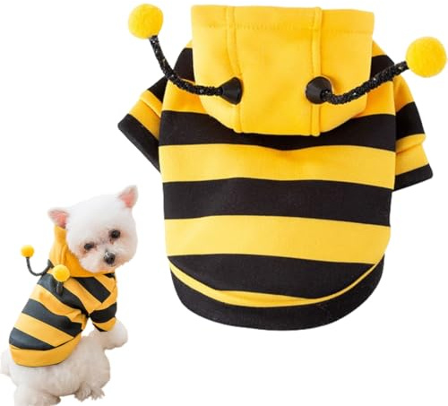 Costume di Halloween per cani di piccola taglia e gatto, costume travestimento Carnevale da Ape Insetto per cane, costume per Halloween e travestimento per animali domestici, taglia M