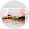 Large Hamster Cage - Clear Acrylic Mouse House with Iron Wire, Bite-Proof and Breathable Small Animal Enclosure