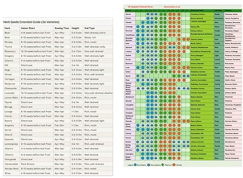 SeedsAlp A3 Laminated Garden Planting Calendar, 36 Herbs & Vegetable Seeds, Year-Round Crop Planner, UK Growing Guide 2 Pages