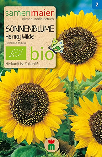 Samen Maier 808 Sonnenblume Henry Wilde (Bio-Sonnenblumensamen)