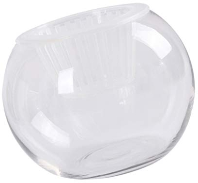 YARNOW Hydrokultur Blumentopf Luftpflanzenvase Desktop-vasendekor Klare Glühbirnen Schreibtisch Pflanzgefäß Aus Glas Luftpflanzen Terrarium Schüsselvase Aus Glas Große Vase Aquarium