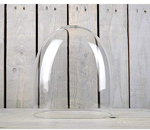 EMH Mundgeblasene Glasglocke aus Glas, oval, handgefertigt.